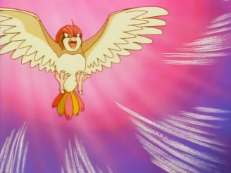 Ash_Pidgeotto_Whirlwind.png