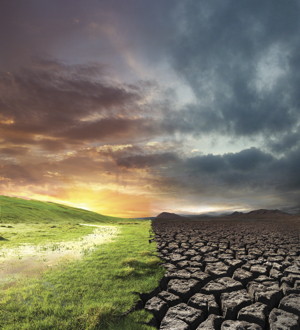 Peace In Death: Meant To&nbsp;Go