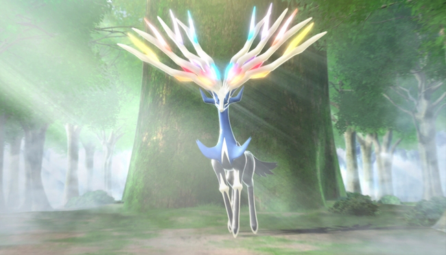 VGC 19 Analysis #1 –&nbsp;Xerneas